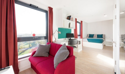  Studio Gold  -  Vincent Place Roost  - Gallery -  5