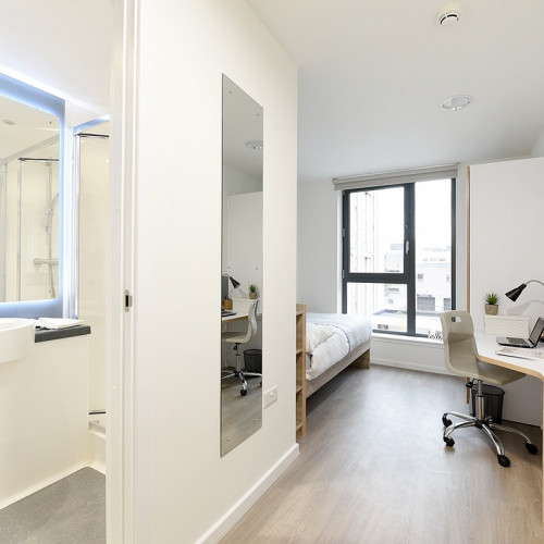  اونسويت برونز  -  اس تي مونجوز  - Gallery -  4