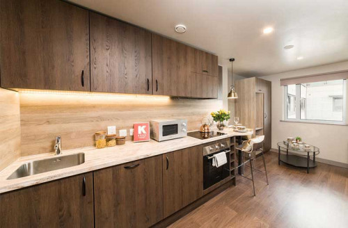  Luxury Studio  -  Ernest Place  - Gallery -  5