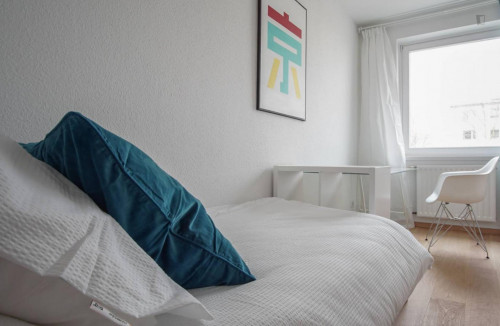  Lovely Single Bedroom In Great Area  -  Lovely single bedroom in great area  - Gallery -  2