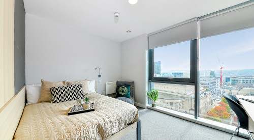  Premium Studio  -  Straits Manor  - Gallery -  1