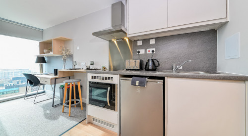  Premium Studio  -  Straits Manor  - Gallery -  3