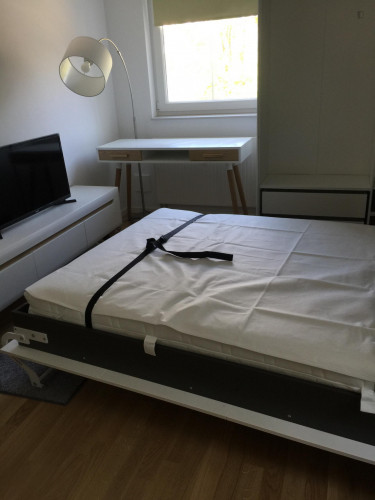 New Elegant Studio In Victoriastadt - 1