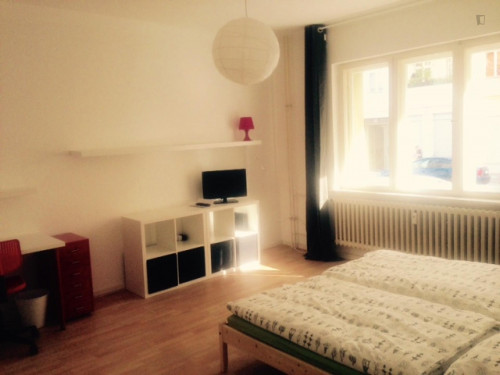 Comfy 1-Bedroom Flat Near U-Bhf Nauener Platz Metro Station - 1