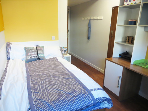  Classic Ensuite  -  Global Point  - Gallery -  1