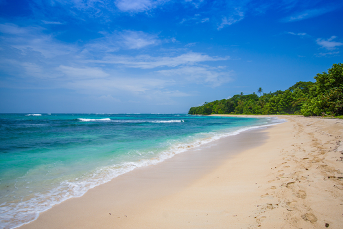 Bocas del Toro Province, Panama Image