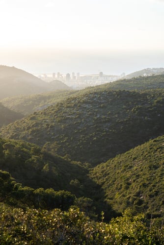 Beit Oren, Israel Image