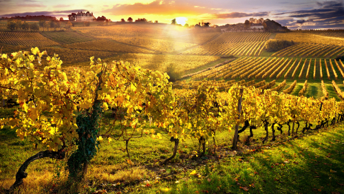 Bergerac, France Image
