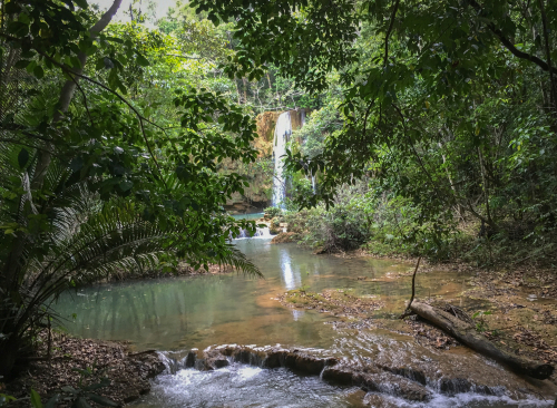 El Limón