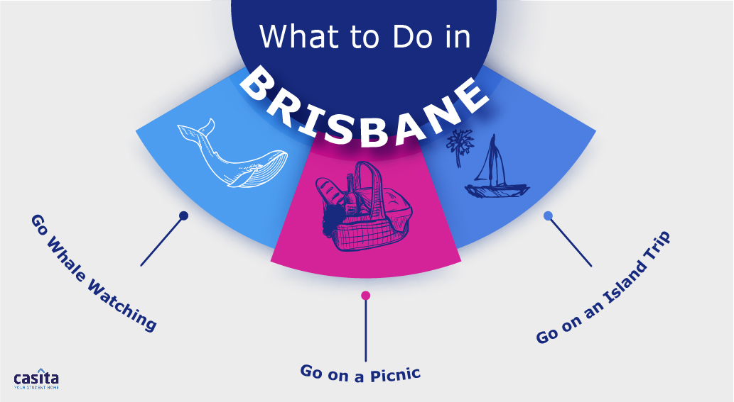 Brisbane City Guide