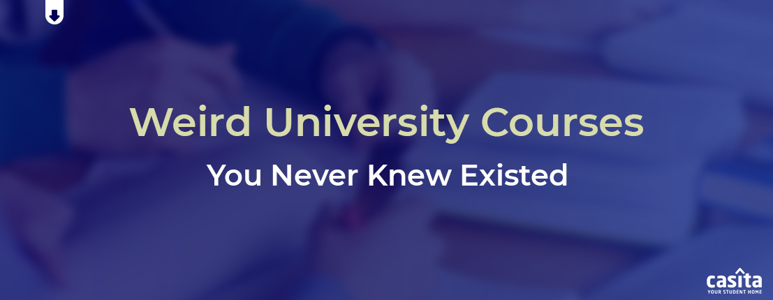 Weird University Courses You Never Knew Existed